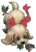 gif chien